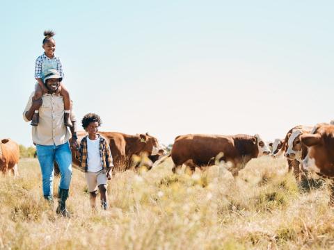 Fighting for a malaria-free world