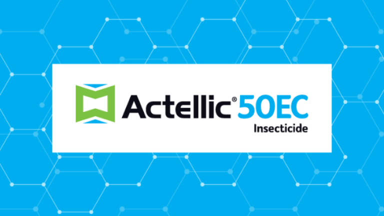 ACTELLIC 50ECThis emulsifiable concentrate with the active ingredient pirimiphos methyl offers control for use in IRS programs, for space spraying and as a larvicide. <br>Read morechevron_right