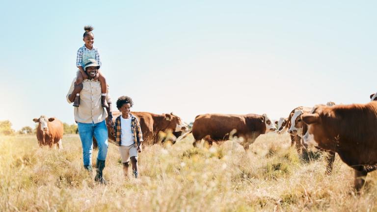 Fighting for a malaria-free world